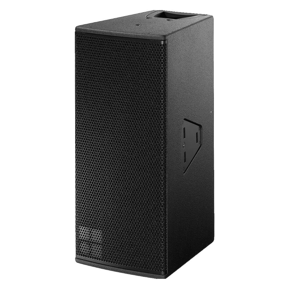 Y10P loudspeaker